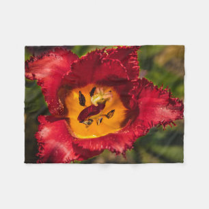 Cobertor De Velo tulipa vermelha