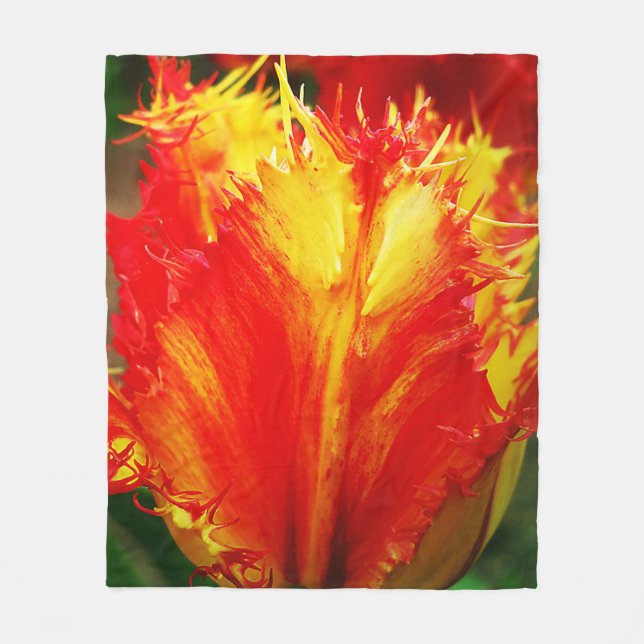 Cobertor De Velo Tulipa Vermelha E Amarelo (Frente)
