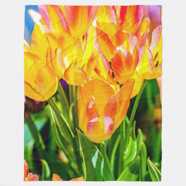 Cobertor De Velo Tulipas Encantando Roxo (Frente)