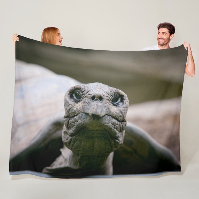 Cobertor De Velo TURTLE ou E.T.? (In Situ)