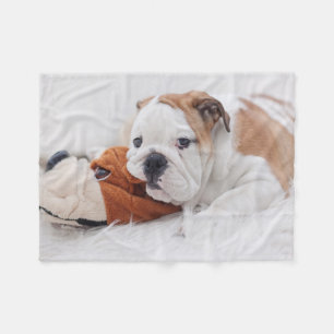 Cobertor De Velo Um filhote de cachorro inglês do buldogue que jog
