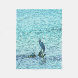 Cobertor De Velo Um Pensador