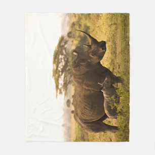 Cobertor De Velo Um Rhino com seu bebê