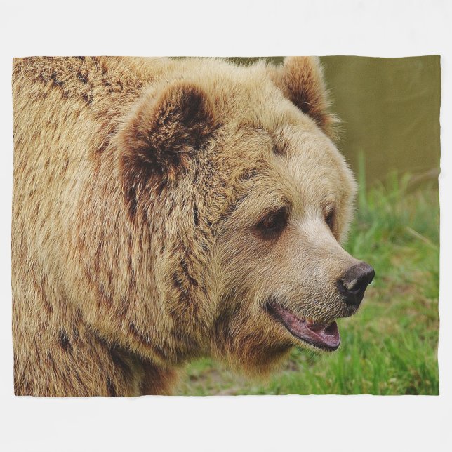 Cobertor De Velo Urso de Brown na cobertura do velo (Frente (Horizontal))