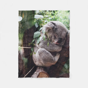 Cobertor De Velo Urso de Koala bonito que relaxa em uma árvore