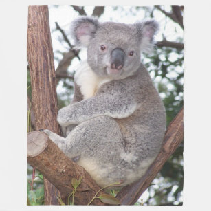 Cobertor De Velo Urso de Koala na cobertura do velo da árvore