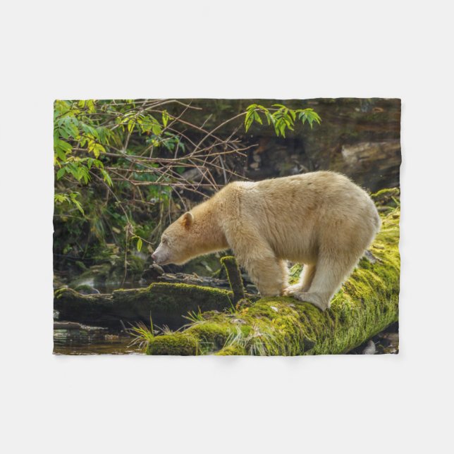 Cobertor De Velo Urso Espírito Branco (Frente (Horizontal))