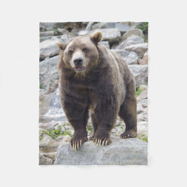 Cobertor De Velo Urso Kodiak (Frente)