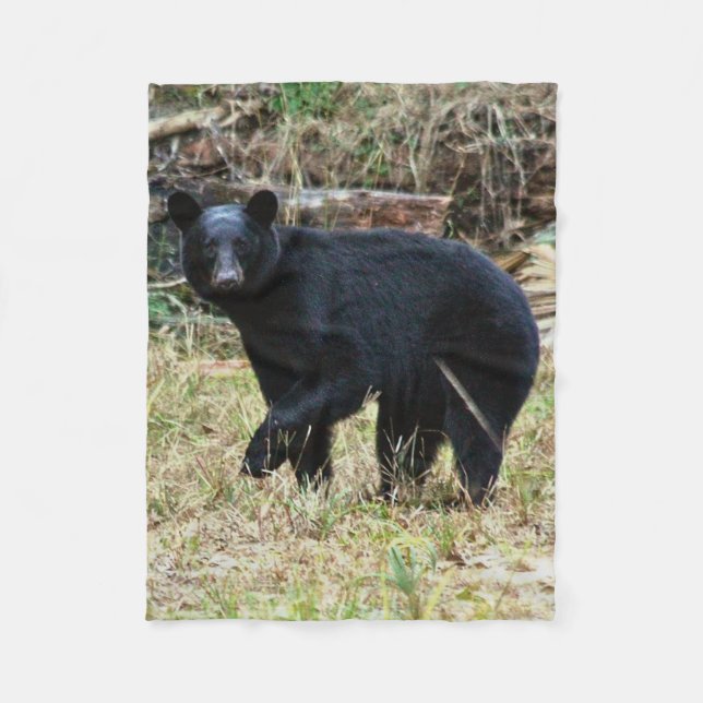 Cobertor De Velo Urso Negro da Flórida (Frente)