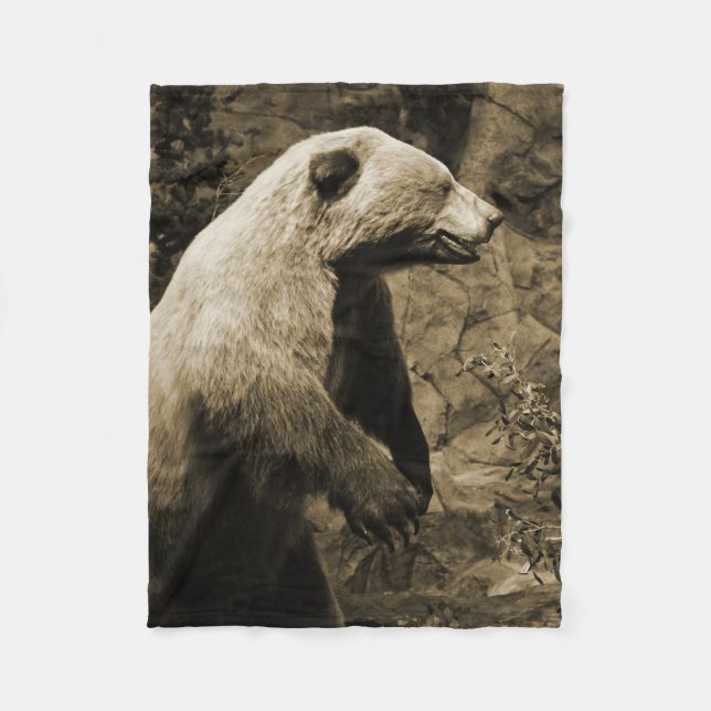 Cobertor De Velo Urso Ordenado (Frente)