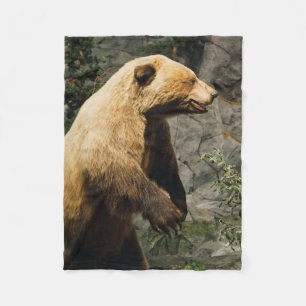 Cobertor De Velo Urso Orgulhoso