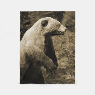 Cobertor De Velo Urso orgulhoso