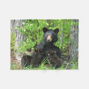 Cobertor De Velo Urso Preto e Cubos Gêmeos