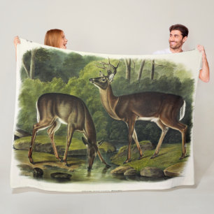 Cobertor De Velo Veado comum (branco) - Quadrupedes de Audubon