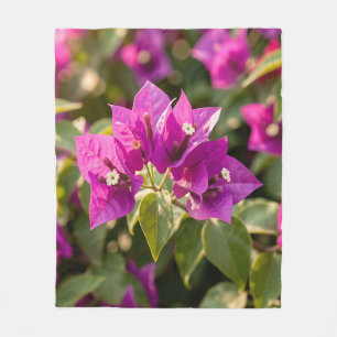 Cobertor De Velo Vibrante Flor de Bougainvillea Roxa Magenta