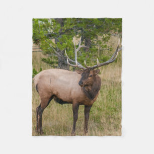 Cobertor De Velo Vila Elk Lake Parque Nacional Yellowstone Wyoming
