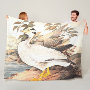 Cobertor De Velo Vintage Bird Elizabeth Gwillim cabeça de Bar