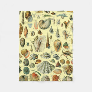 Cobertor De Velo Vintage Mollusk Shell Seashell Art