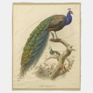 Cobertor De Velo Vintage Peacock Fleece Blanket
