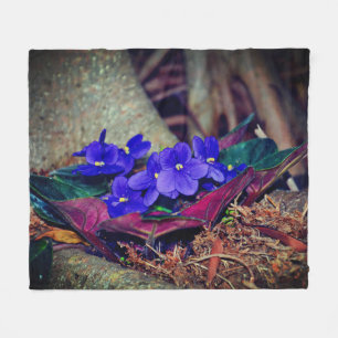 Cobertor De Velo Violeta africana