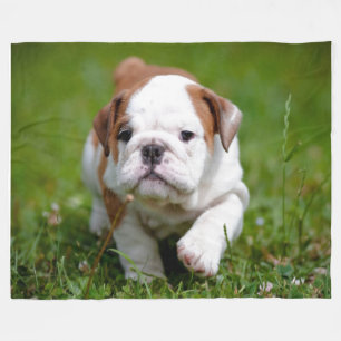 COBERTOR DE VELO VOU SER UM PESCOÇO DE COURO