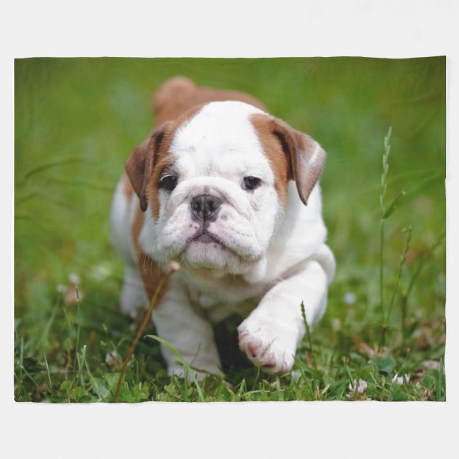 COBERTOR DE VELO VOU SER UM PESCOÇO DE COURO (Frente (Horizontal))