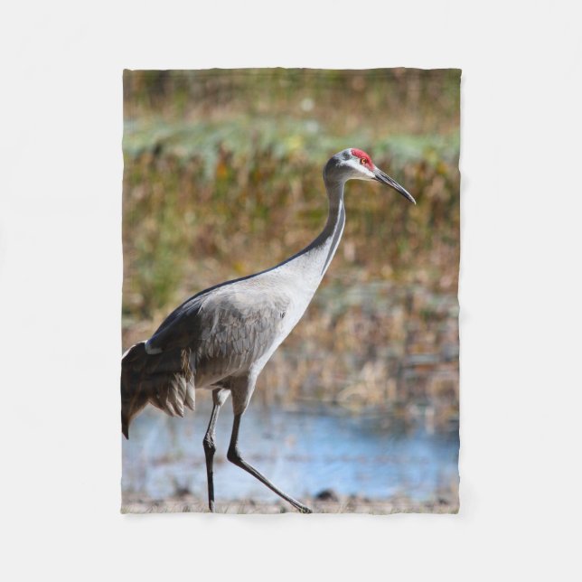 Cobertor De Velo Walking Tall, Sandhill Crane (Frente)