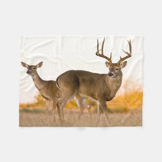Cobertor De Velo White-tailed Deer | Autumn in Texas (Frente (Horizontal))