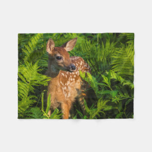 Cobertor De Velo White-tailed Deer Fawn   Minnesota