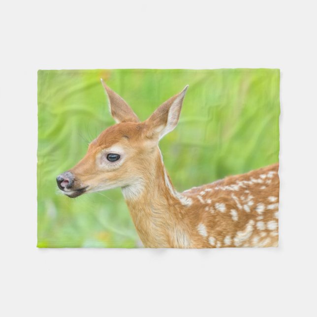 Cobertor De Velo White-Tailed Deer Fawn | Minnesota (Frente (Horizontal))