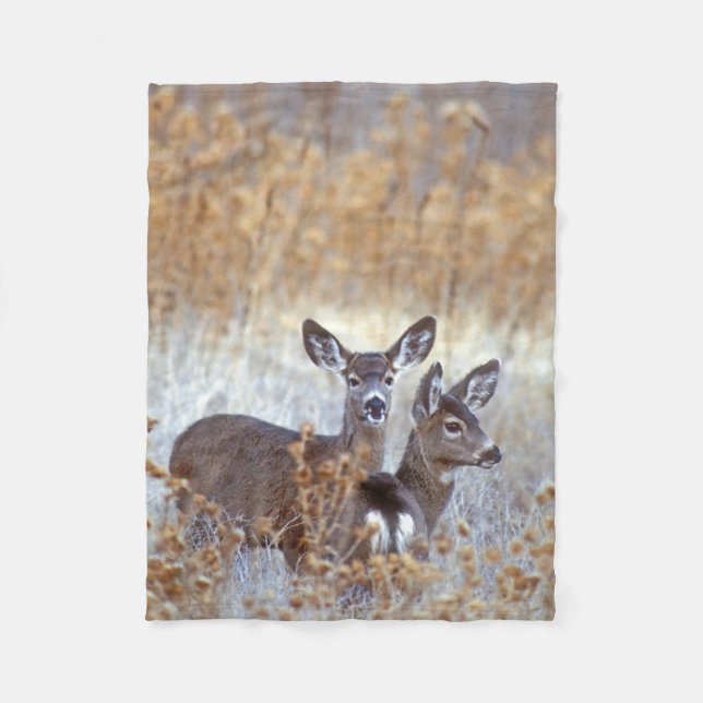 Cobertor De Velo Wild Mule Deer Pair | Califórnia (Frente)