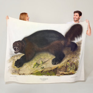 Cobertor De Velo Wolverine ou Wolverene (Gulo gulo) por Audubon
