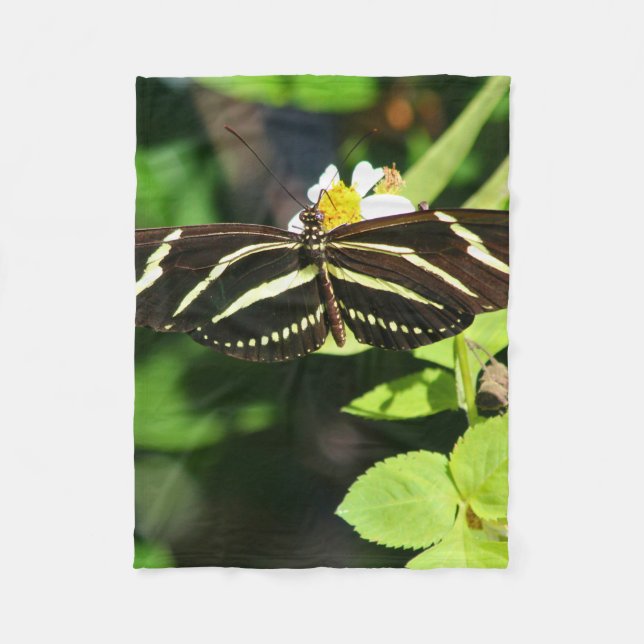 Cobertor De Velo Zebra Longwing Butterfly (Frente)