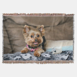 Cobertor Dínamo minúsculo