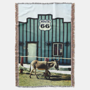 Cobertor Donkey Town Oatman Arizona