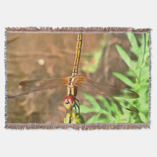 Cobertor Dragonfly Artística Descendo Sobre Uma Cabeça De