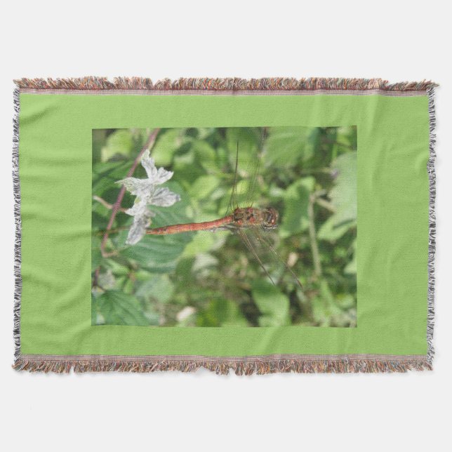 Cobertor Dragonfly Comum Mais Escuro (Frente)