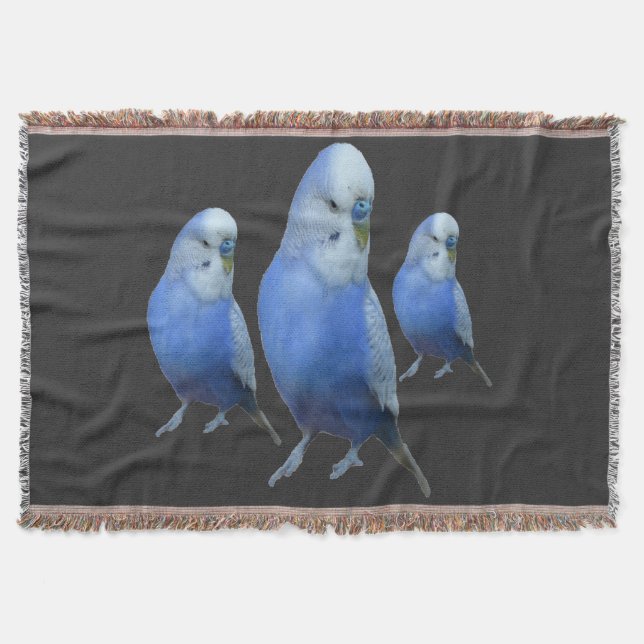 Cobertor drei blaue Wellensittiche (Frente)