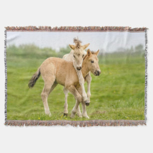 Cobertor Engraçado Cavalo Selvagem Konik Foals Brincando -