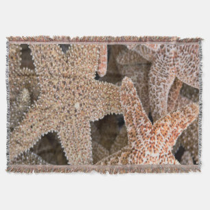 Cobertor Estrela do mar toda ao redor
