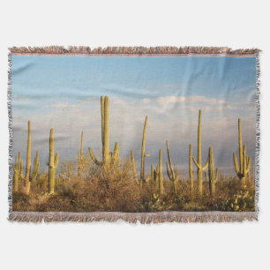 Cobertor EUA, Arizona, Parque Nacional Saguaro, Saguaro