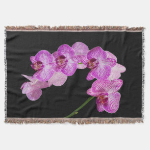 Cobertor EUA, Geórgia, Savannah, Aglomerado de Orquídeas 2