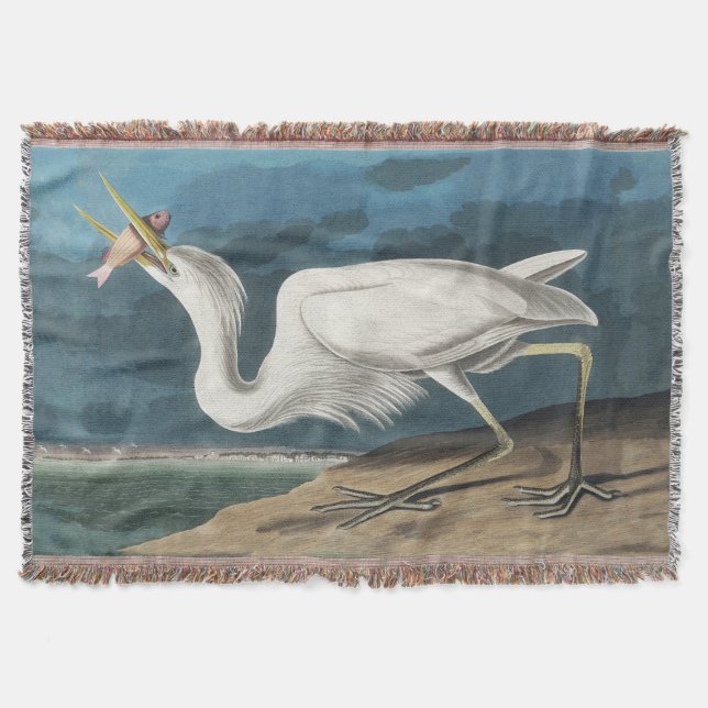 Cobertor Excelente White Heron Audubon Bird Willife Paintin (Frente)