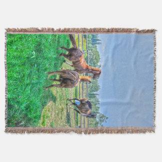 Cobertor Executando Pinto Pintor Gelding & Chestnut Stallio
