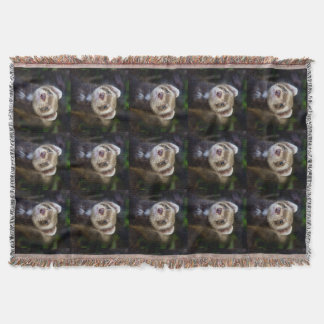 Cobertor Ferret