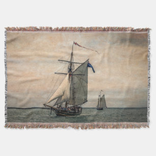 Cobertor Festival de Navios Altos, Digitalmente Alterado