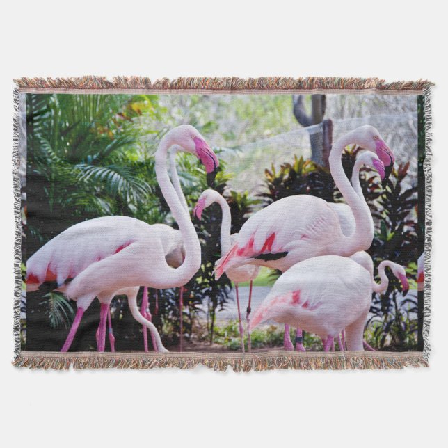 Cobertor Flamingo Rosa (Frente)