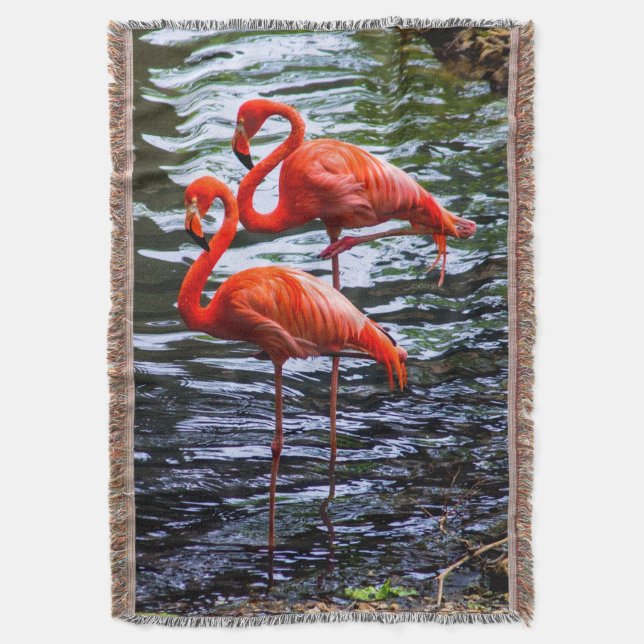 Cobertor Flamingos Rosa na Água (Frente Vertical)