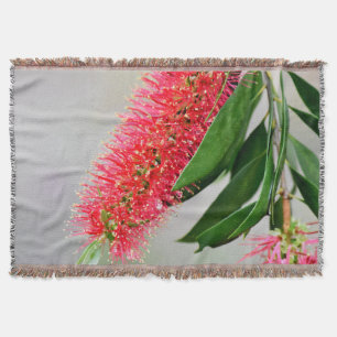 COBERTOR FLOR AUSTRÁLIA DA ESCOVA DE GARRAFA DE CALLISTEMO