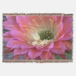 Cobertor Flor de cacto rosa no deserto